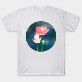 Minhwa: Lotus Flowers D Type T-Shirt